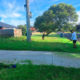 Grass Cutting Bellfield
