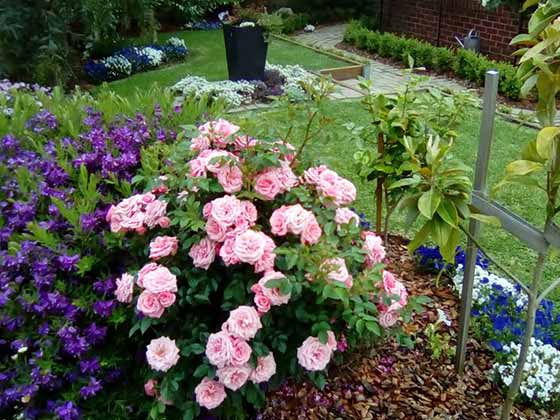 Gardening Warragul