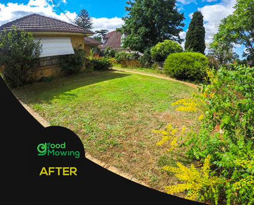 Lawn Mowing Ivanhoe East