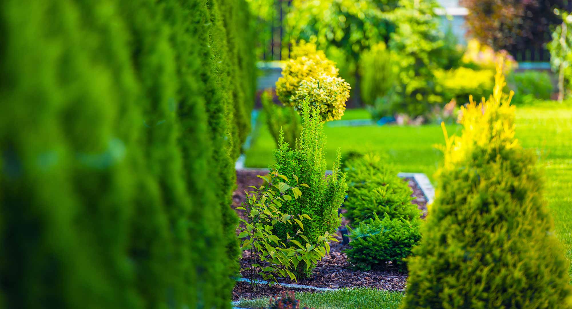 How much to charge for lawn mowing How much to charge for lawn mowing